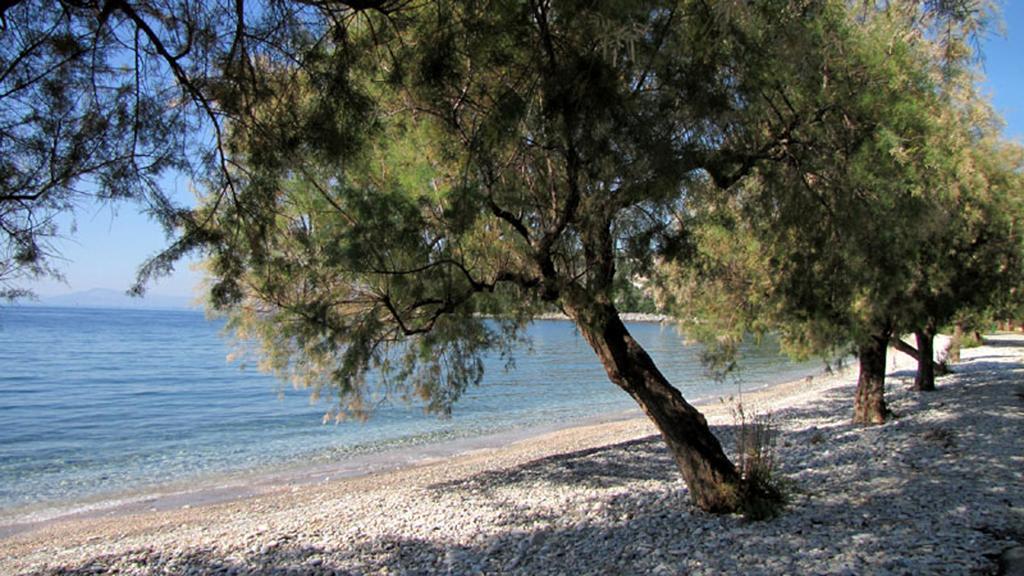 Iro Family Apartments Pelion Лефокастро Екстериор снимка